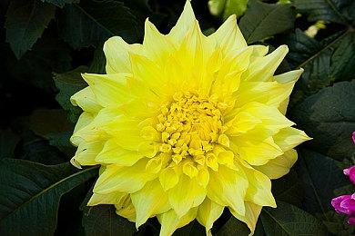 火星建设游戏《繁星苦旅》宣布新免费DLC 年底推出新资料片